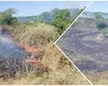 Incendiu de vegetație extins pe 20 de hectare în județul Buzău. A fost emis un mesaj RO-Alert