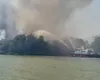 Incendiu puternic în Delta Dunării, ard 700 de hectare de vegetație uscată VIDEO