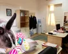 Zile libere 2027: Perioadele în care angajații pot avea cele mai lungi minivacanțe. Când pică Paștele și Rusaliile