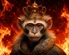Feng Shui & Horoscop Chinezesc August 2026: Energiile care îți pot influența banii, cariera și relațiile