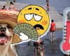 Prognoza meteo 12 august 2026. Caniculă, apoi vremea se mai răcorește și vin ploi