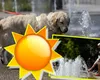 Alertele meteo cod roșu și portocaliu de caniculă au fost extinse. ANM anunță trei zile de caniculă, cu temperaturi de până la 41 grade, nopţi tropicale şi instabilitate atmosferică