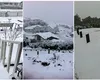 Ninge ca-n povești în capitală, la început de august! Zăpadă după 15 ani, oamenii schiază pe străzi VIDEO