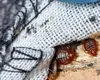 Ploșnițe la Spitalul Bagdasar-Arseni din București. O secție cu zeci de pacienți va fi închisă pentru dezinsecție