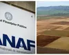 Taxe și impozite 2026. Câți bani trebuie să plătești la ANAF dacă ai teren dat în arendă