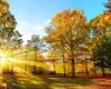 Prognoza meteo. Weekend de vară, de luni revin ploile în toată ţara
