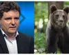 Nicuşor Dan insistă cu salvarea urşilor „maidanezi”. Respins de CCR, preşedintele a retrimis legea care permite împuşcarea fiarelor la Parlament
