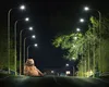 O comună din Buzău întrerupe iluminatul public pe perioadă nedeterminată. Localitatea care urmează să rămână în beznă este frecvent „vizitată” de urși