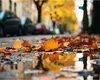 Prognoza meteo lunară. Vom avea nevoie de umbrelă în prima zo de şcoală? ANM a actualizat hărţile pentru septembrie 2026