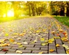Prognoza meteo. Noi zile toride de vară, vremea bună se prelungeşte