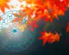 Horoscop 19 septembrie 2026. Astrele favorizează comunicarea și intensifică emoțiile. Nevoile sufletești sunt mai apăsătoare decât în mod obișnuit