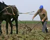 Ce salarii sunt în agricultură în 2026. Cât câștigă un angajat și care este diferența față de media națională