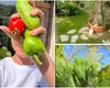 Andreea Marin, imagini noi din propria grădină. Cum arată colțul de rai al vedetei la început de toamnă: „Parfumuri și culori”