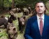 Tanczos Barna propune ca împușcarea ilegală în cazul urșilor să fie penalizată doar cu 500 de euro în loc de 40.000 de euro