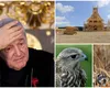 Amendă imensă decisă de instanţă pentru fiica lui Gigi Becali. Procesul nu s-a încheiat
