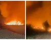 Incendiu de vegetație în delta Banatului. Fumul a ajuns până în Timișoara