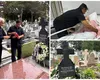 Daniel Buzdugan, în doliu după pierderea mamei sale. Mesajul emoționant al prezentatorului: „Ne-am luat rămas-bun de cinci, de șase ori…”
