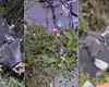 Dronă prăbușită în Suceava și școli închise. Localnicii s-au înghesuit să fotografieze aparatul de război: „E foarte mare. Încă are becuri aprinse, ceasul încă merge” VIDEO