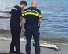 Fragment de dronă descoperit pe plaja Modern din Constanța. Nu ar avea încărcătură explozibilă VIDEO