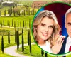 NOI STENOGRAME – Călin Georgescu se pregătea să ceară azi politic în Italia. ”Am pasaport, iau copiii si gata!”