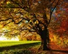 Ce se întâmplă cu vremea în octombrie. Meteorologii Accuweather anunță temperaturi de 25 de grade