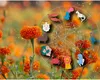 Horoscop: Ziua norocoasă a lunii octombrie pentru fiecare zodie. Vești bune pe toate planurile