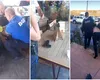 Scandal cu împușcături într-un complex de lux de lângă Capitală. Un bărbat în stare de ebrietate, care purta pistolul la brâu, pus la pământ și încătușat