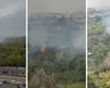 EXCLUSIV Incendiu în Delta Văcărești! Fumul este vizibil de la distanță, iar pompierii au ajuns la fața locului. VIDEO