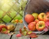 Prognoza ANM lunară. Toamnă frumoasă, cu ploi răzleţe şi temperaturi ridicate