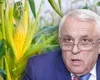 Petre Daea, la Ziua Porumbului 2026: „Solul nu este o sticlă cu dop. Fermierii să continue să întoarcă brazda țării”