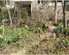 Când și cum se pot planta copaci în grădina blocului. Gestul care îți poate aduce amenzi usturătoare
