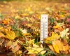 Prognoza lunară ANM. Şoc termic de miercuri, cu temperaturi scăzute şi ploi de toamnă, apoi revine vremea de drumeţii