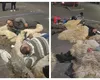Protestul crescătorilor de animale continuă și miercuri. Ciobanii au dormit în Piața Victoriei
