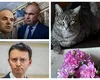 „Disidentul” Rareş Bogdan îl atacă dur pe Bolojan, dar cere vot pentru Guvernul Mureșan: „Să taie bani era în stare și motanul Tom, putea fi şi el premier”