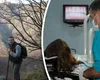 Un cunoscut medic arab din Timișoara a fost găsit împușcat. Modul șocant în care bărbatul a ales să-și ia viața