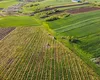 Terenurile agricole mari din România s-au ieftin considerabil. Cât costă hectarul acum