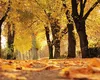 Prognoza meteo lunară. Vara se prelungeşte până în octombrie. Cum se anunţă iarna 2026–2027 în România