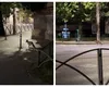 O vulpe a fost filmată la kilometrul 0 al Capitalei VIDEO