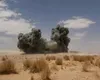 Războiul din Orientul Mijlociu escaladează. Rebelii huthi atacă în Yemen şi Arabia Saudită, Iranul bombardează Iordania