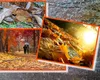 Prognoza ANM: Vreme neobişnuit de caldă până pe 9 octombrie, apoi temperaturile scad, iar lapoviţa şi ninsoarea se instalează la munte