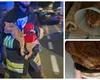 Doi români se află în stare gravă după ce apartamentul din Bergamo în care locuiau a explodat. Pompierii au salvat pisica cuplului de sub dărâmături la două zile de la incident