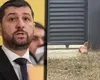 MESAJE INCENDIARE în cazul capului de porc lăsat la poarta lui Marius Lulea. Mesajele deputatei Adriana Cîrligeanu care arată că a minţit. George Simion are de dat explicaţii