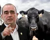 Gigi Nețoiu, amendat de Apele Române pentru ferma de 6 milioane de euro. Ce au descoperit inspectorii