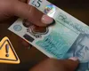 Se schimbă banii. Pufinul, bufniţa de hambare, bondarul şi ariciul elimină figurile istorice de pe bancnote