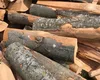 De unde pot cumpăra românii lemne de foc de la Romsilva. Cât costă metrul cub în 2026