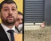 Dimineață de coșmar pentru Marius Lulea! Un cap de porc, lăsat la poarta sa. Mașinile și gardurile din zonă, acoperite cu stickere amenințătoare