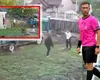 Ultimele imagini cu arbitrul Gheorghe Moldovan în viaţă. Gestul incredibil faţă de soţie a fost filmat