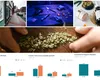 România, între droguri și dezbaterea legalizării. O generație expusă, un sistem de ajutor tot mai puțin accesat și lecțiile Europei