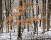 De la vară la iarnă. Vremea se răcește în toată țara și vin ploile. La munte se anunță lapoviță și ninsoare – prognoza meteo actualizată