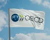 OCDE recomandă României creșterea impozitelor pe proprietăți pentru reducerea deficitului bugetar